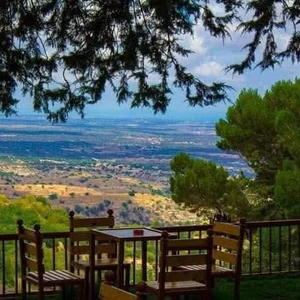 مقهى النبع العائلي